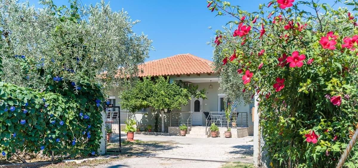 Apartmán Mougkrasstudio Skala Rachoni  Exteriér fotografie